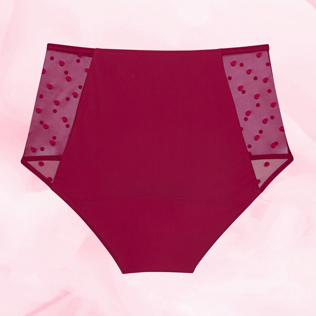 Lush Highwaist Dots Moderate Burgundy Back